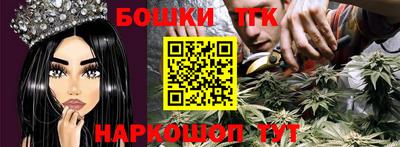 МДПВ Камышлов